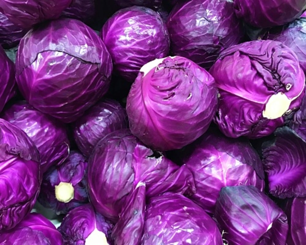 Cabbage-red