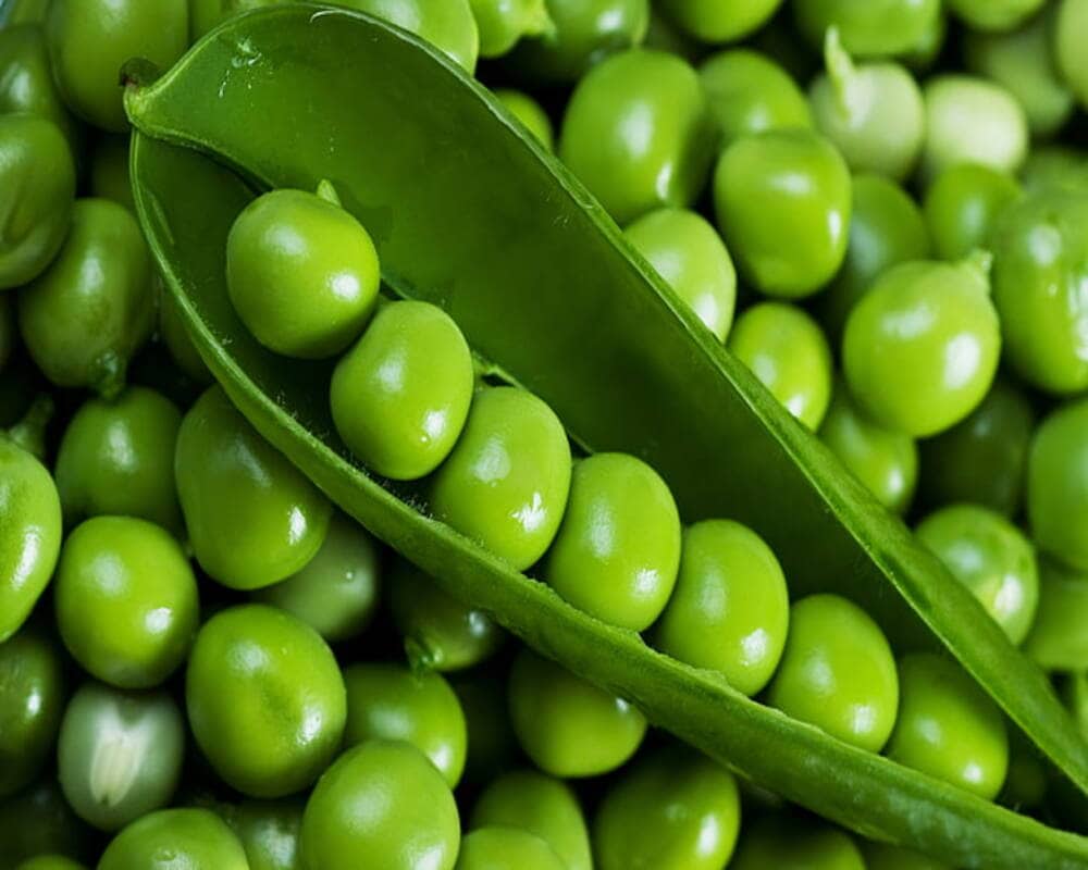 Green Peas